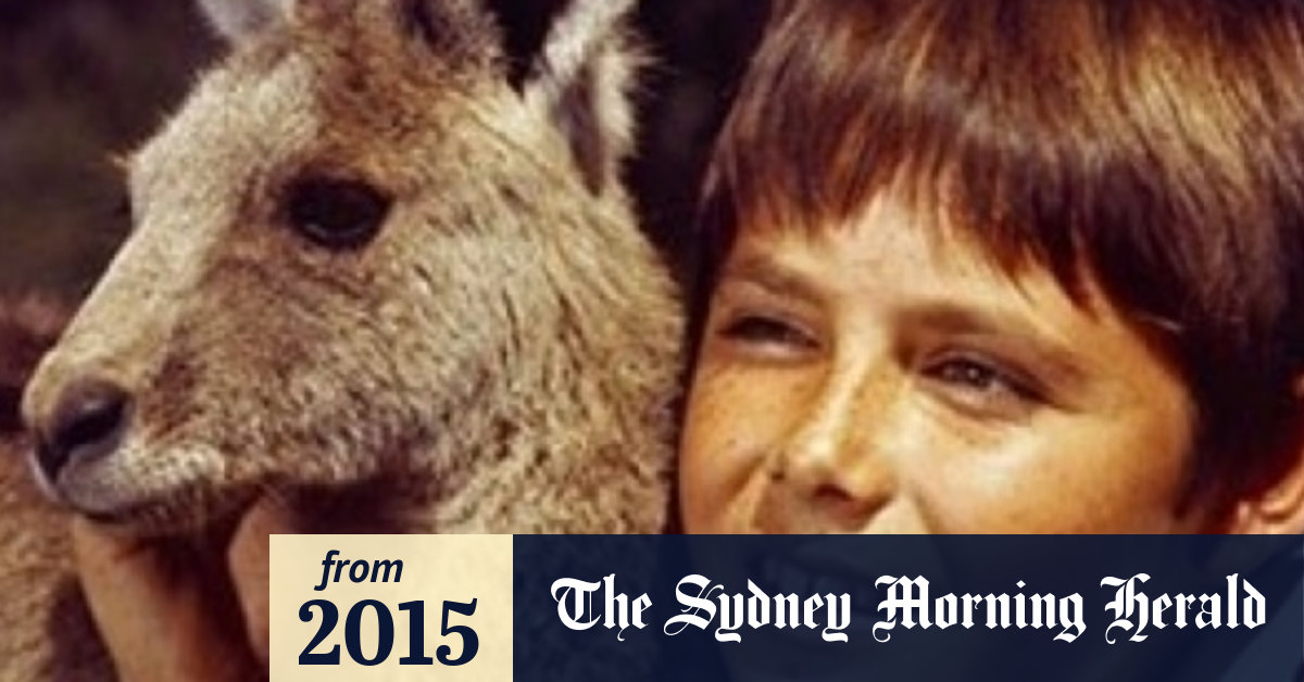 Short Cuts: Skippy to hop into cinemas, Gracie Otto directing a Koko